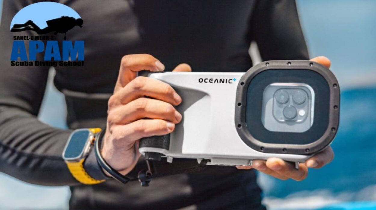 معرفی اپلیکیشن‌های غواصی در زیر آب